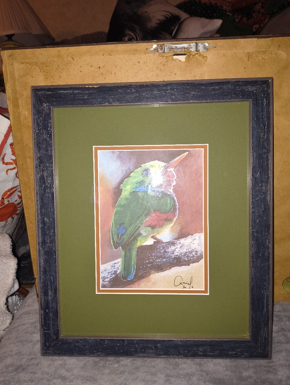 Framed Green and Red Bird Art Print - Pets Bird